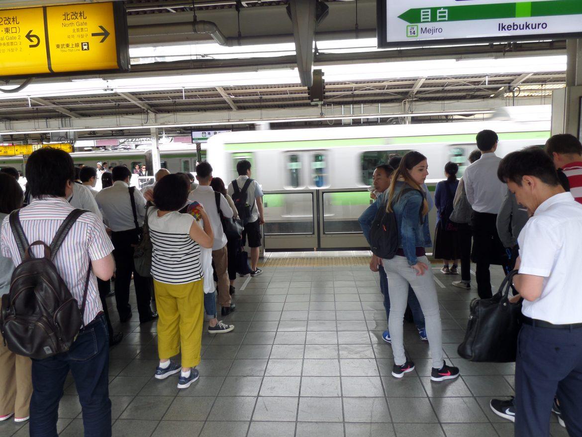 Rend és tisztaság japánban