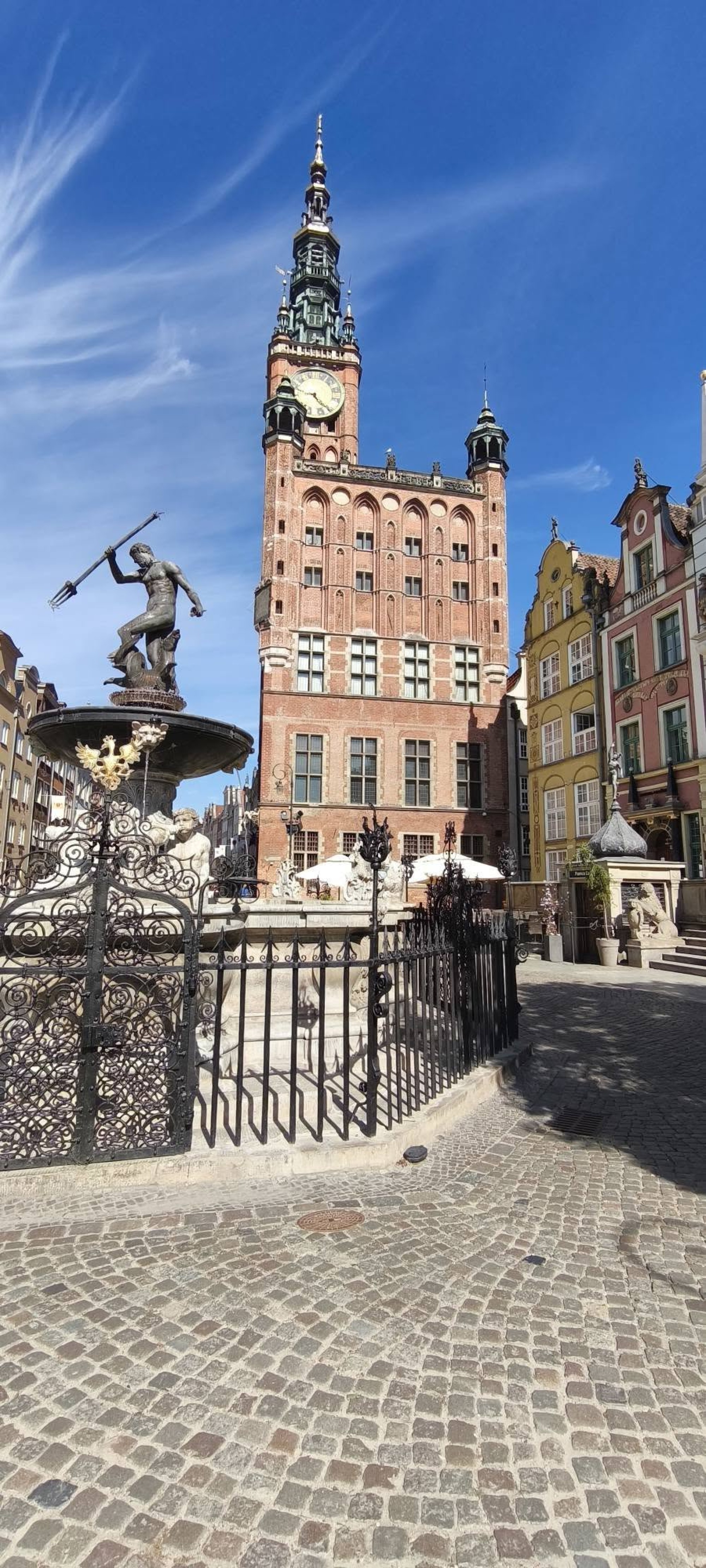 Bayer Veronika